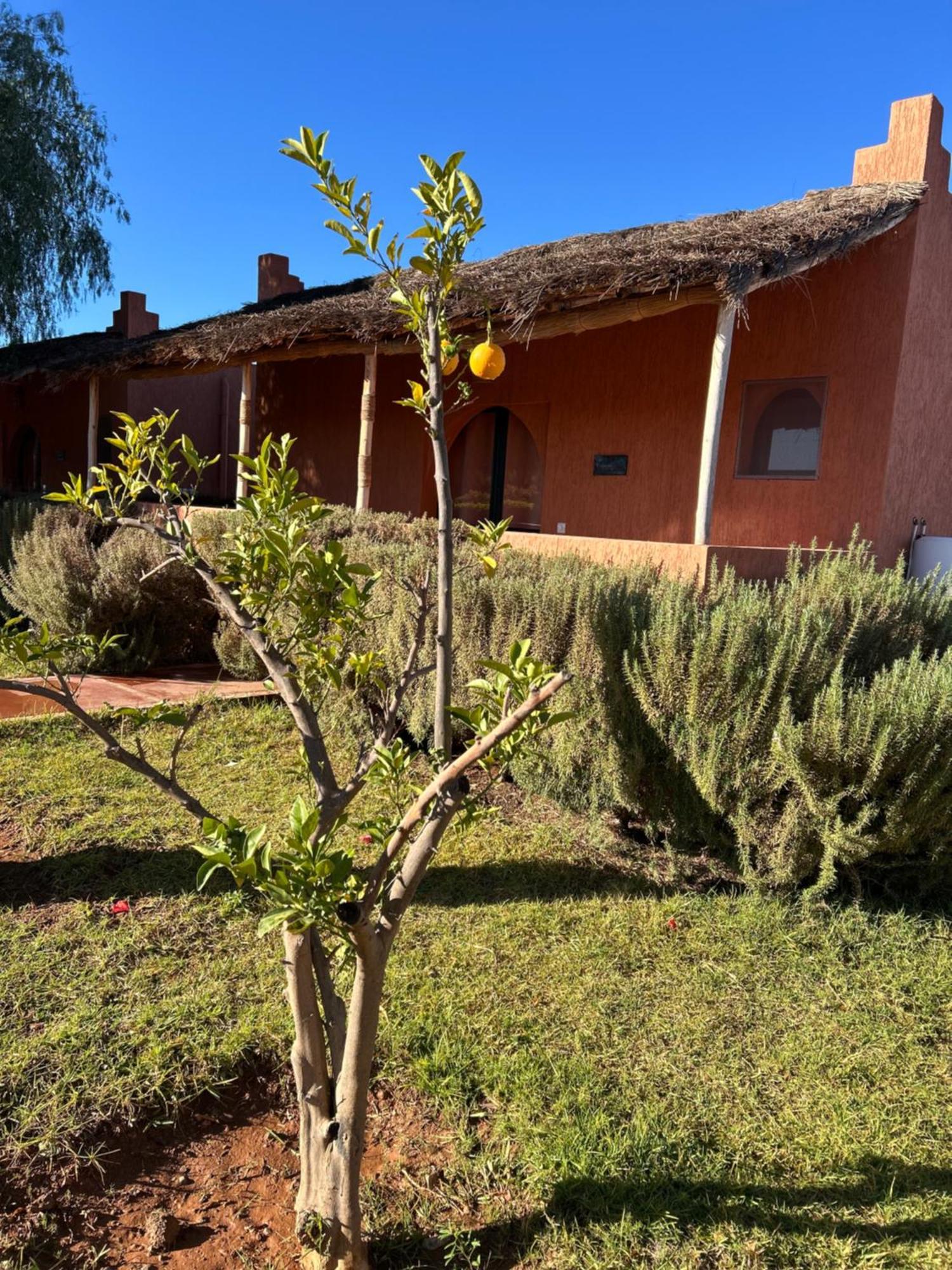 Hotel Les Orangers De L'Ourika Douar Akkara Exterior foto